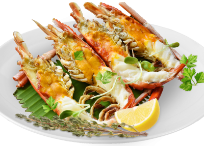 Freshwater Prawns