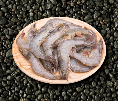 Shrimp